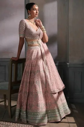 Aeindri Lehenga Set