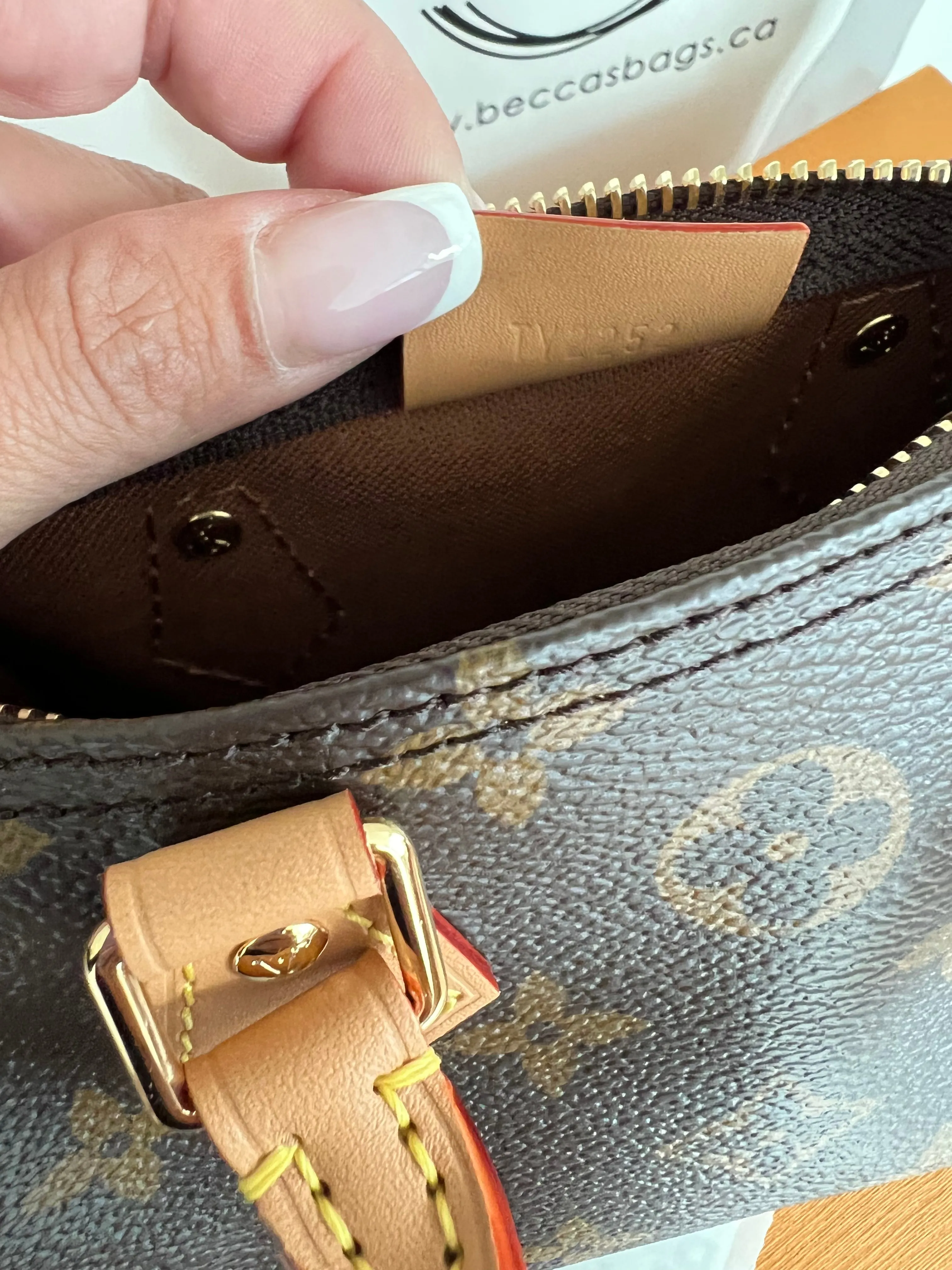 Louis Vuitton Speedy Nano Bag